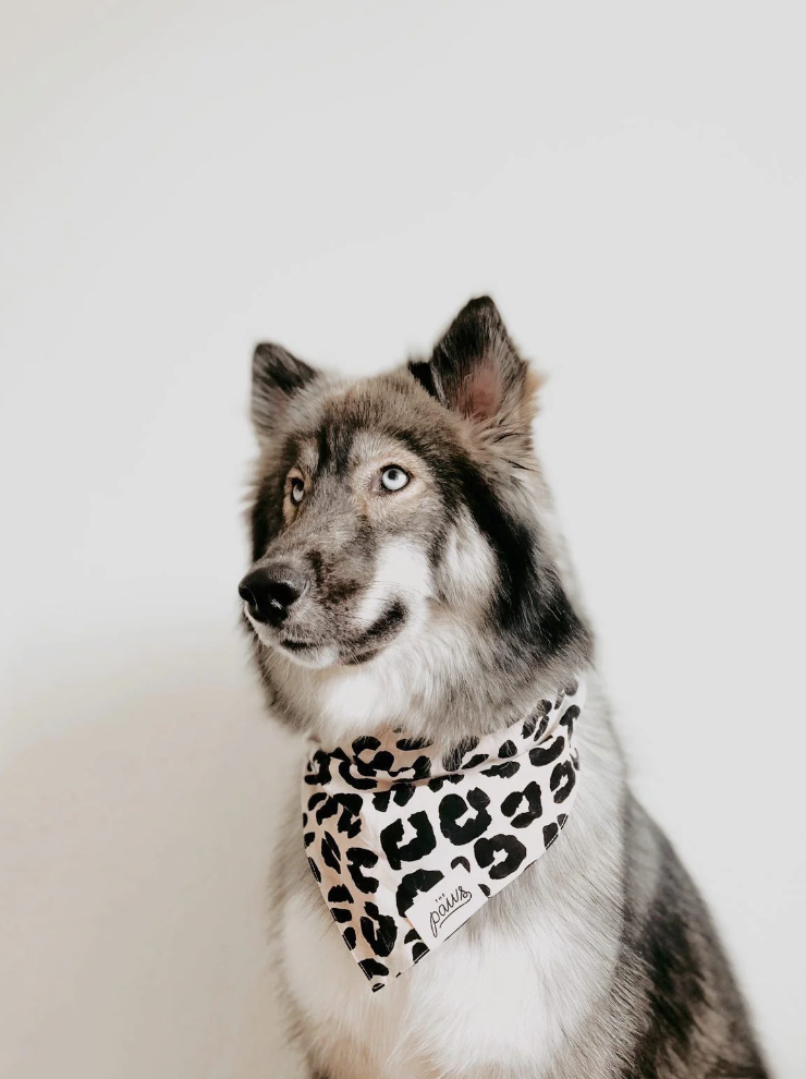 Yala Bandana | The Paws Bandanas