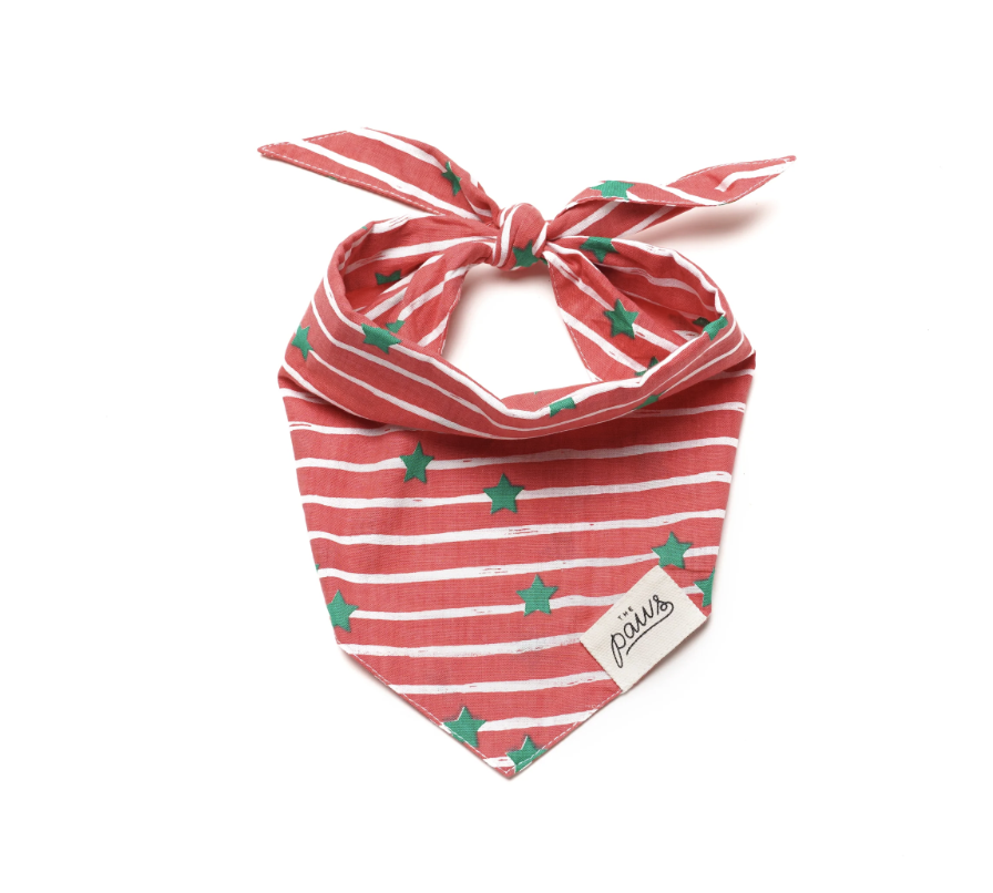 Jingle Christmas Bandana for dogs