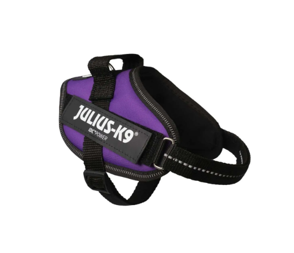 Julius IDC Powerharness - Dark Purple - small sizes