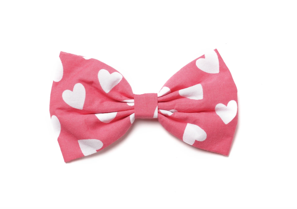 Whole Lotta Love Bow Tie for dogs by The Paws