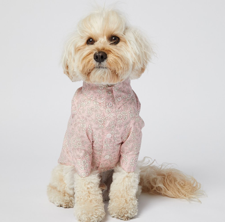 Liberty Dog Shirt - Soft Pink Floral