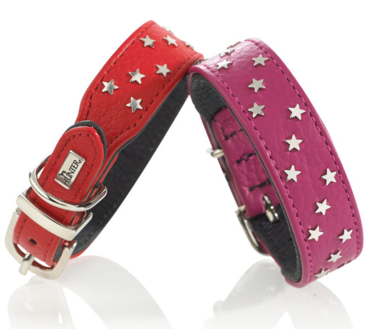 Capri Mini Star Collar - luxury leather dog collar